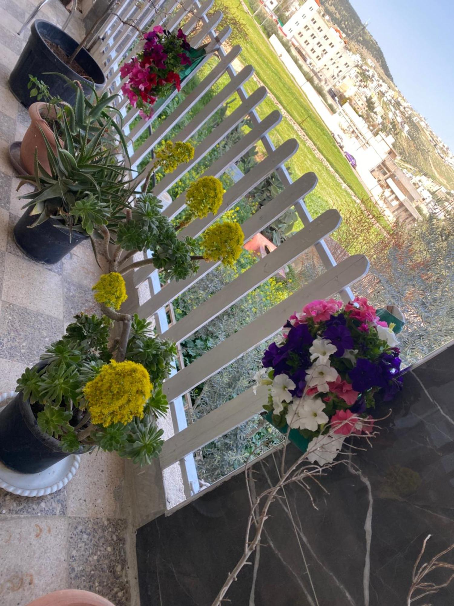 Huseein Rooms Jarash Exterior foto